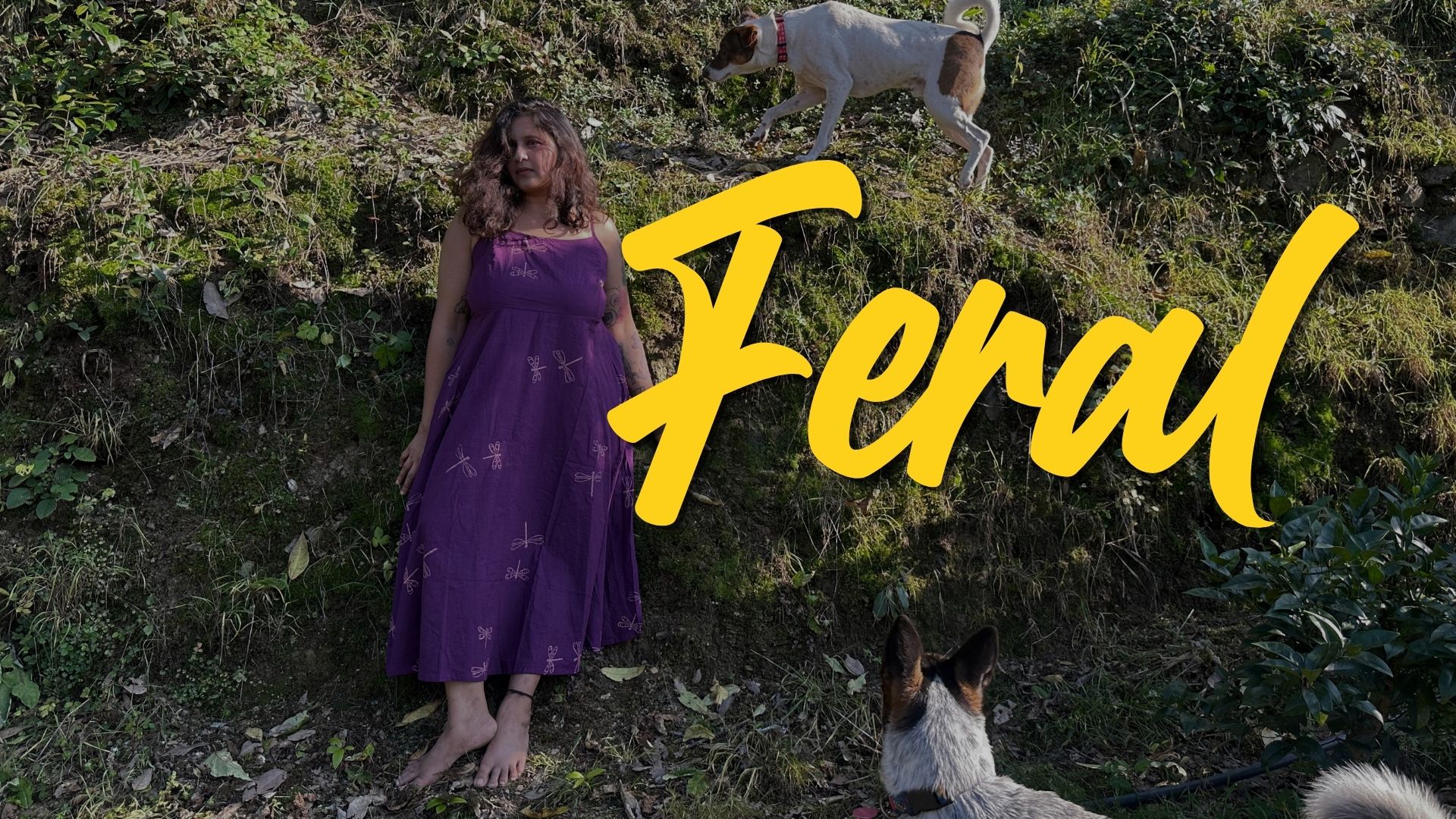 Product image for Feral