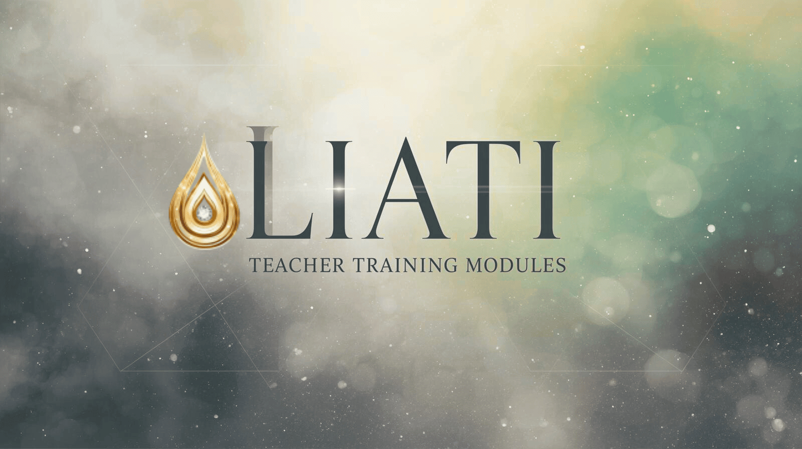 Product image for LIATI TEACHER TRAINING MODULES