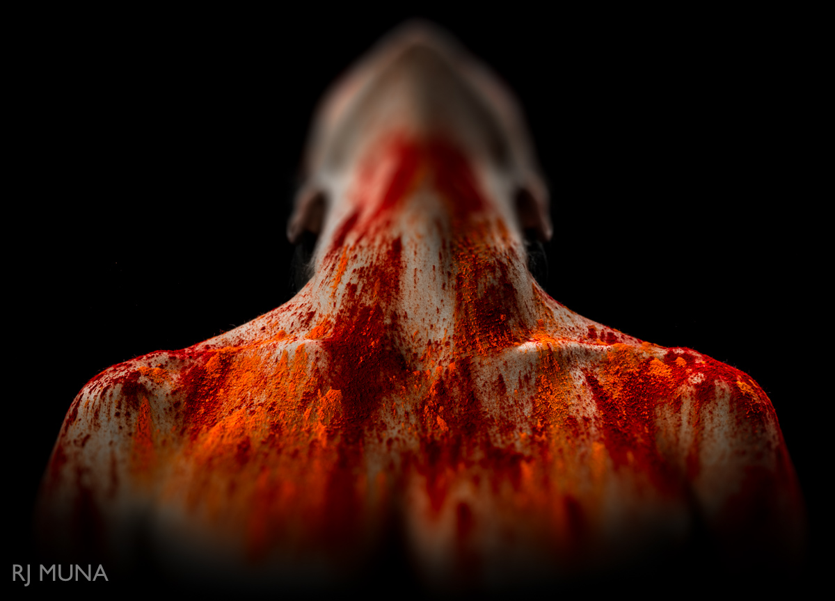 Product image for Somatic Witchcraft for Artists