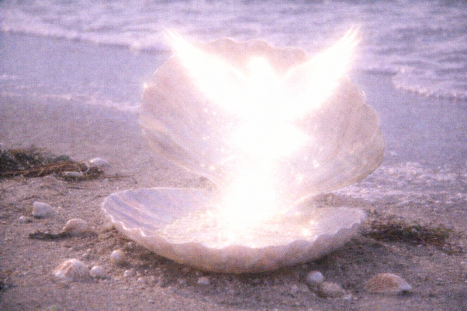 Product image for Miracle Magnetism 101