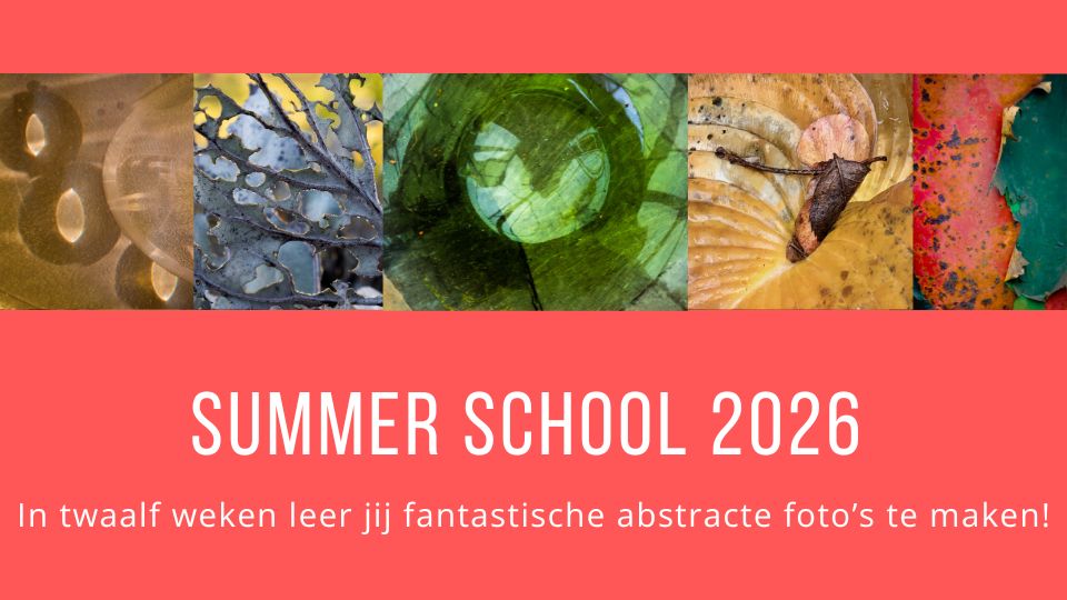 Productafbeelding voor Summer School