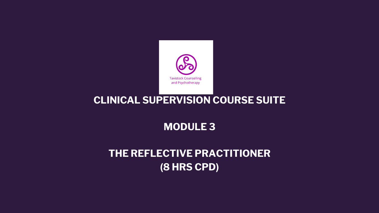 Product image for The Reflective Practitioner: Supervision Ethics, Selfhood