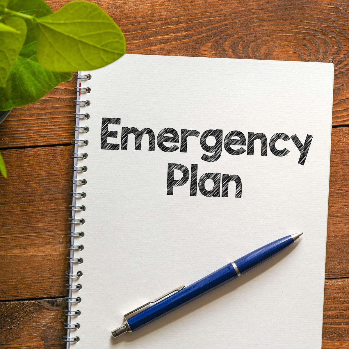 Product image for Emergency Planning for Expats - Begins August 10, 2026