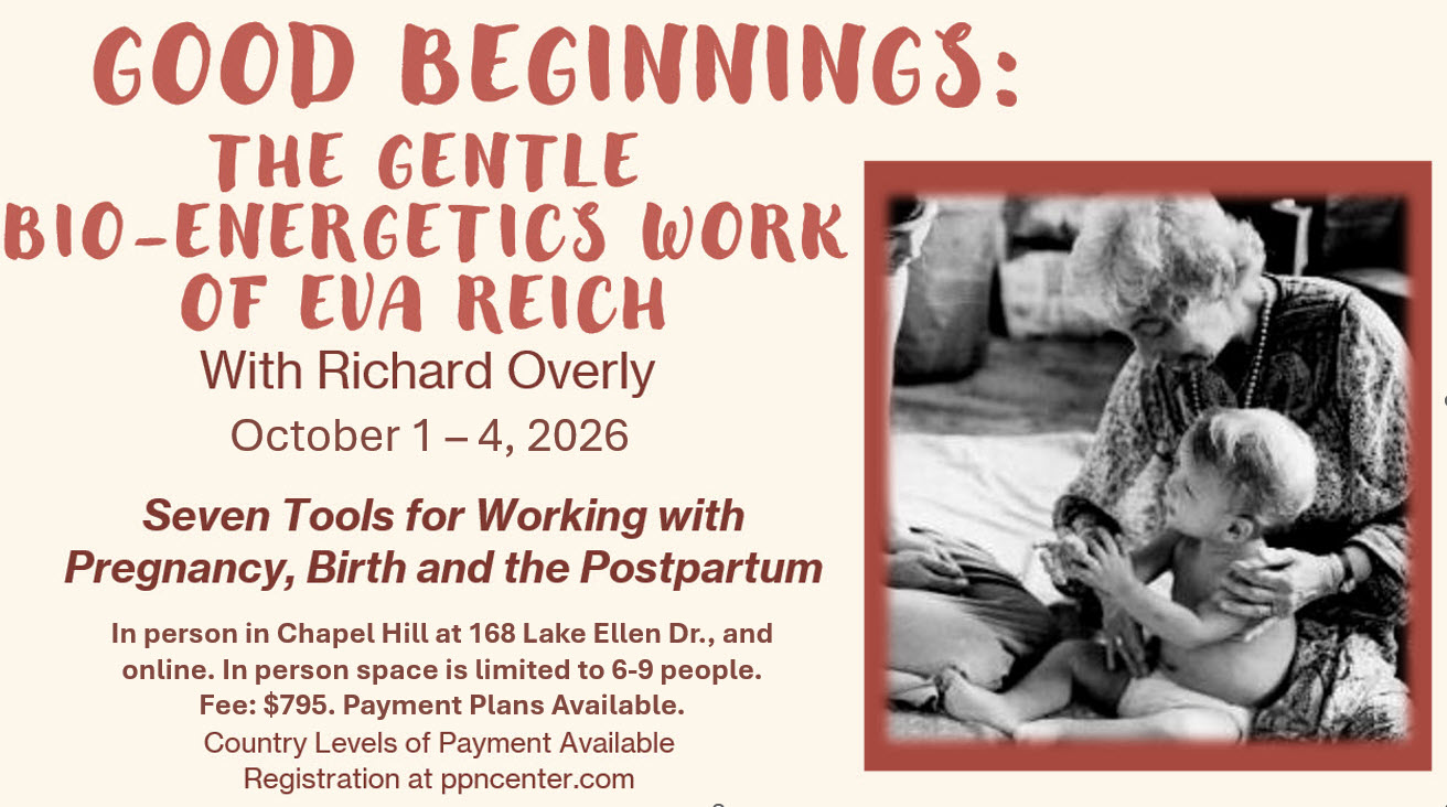 Product image for Good Beginnings: The Work of Eva Reich with Dick Overly