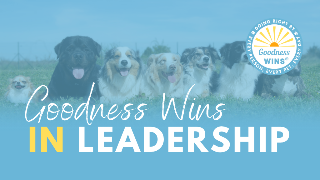 Product image for Goodness Wins in Leadership