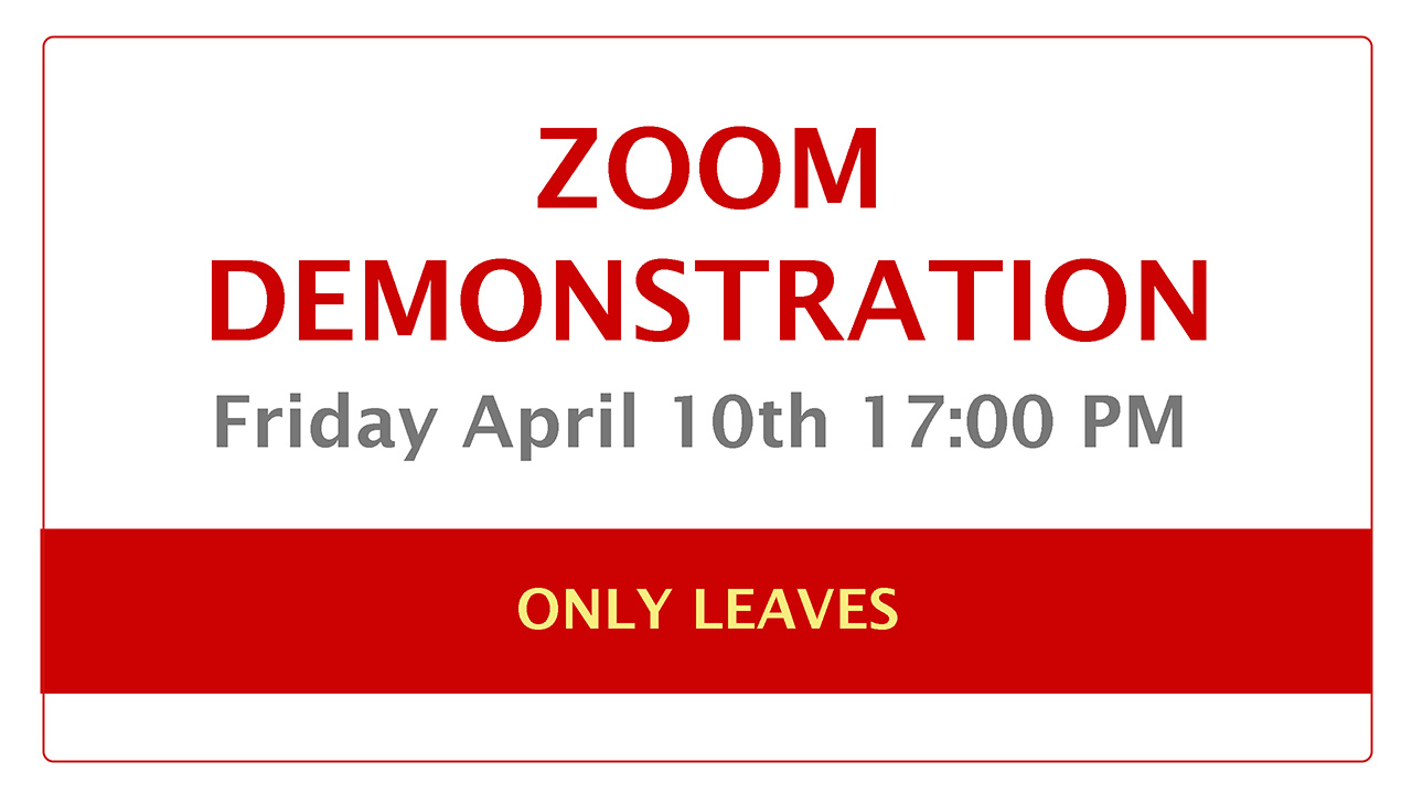 Product image for IKEBANA DEMONSTRATION ONLY LEAVES