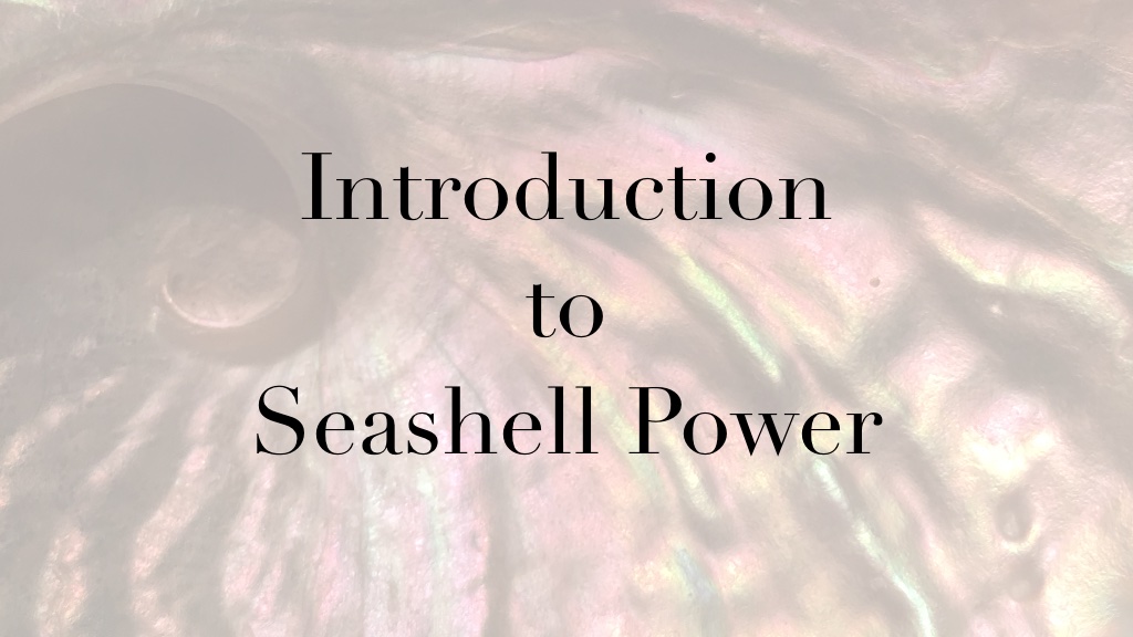 Product image for Introduction to Seashell Power