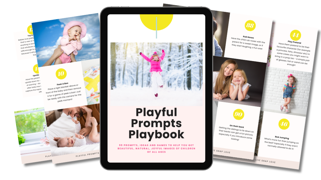Product image for The Playful Prompts Playbook 