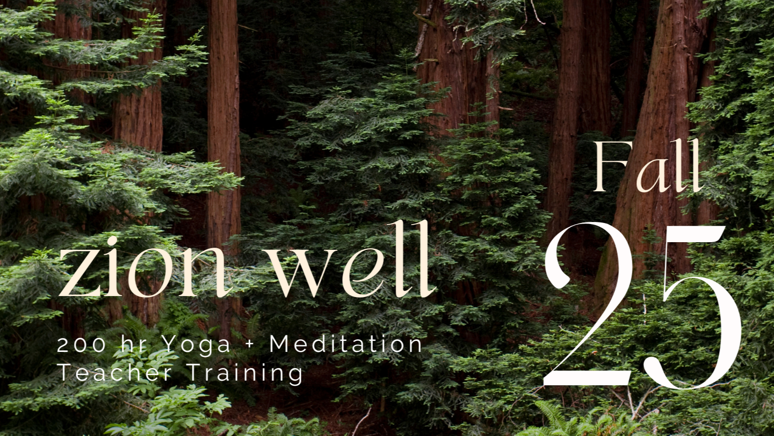 Product image for 2025 FALL -  Yoga + Meditation YTT