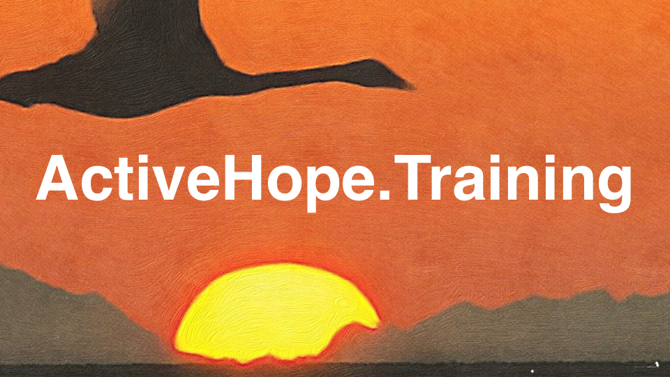 ActiveHope.Training