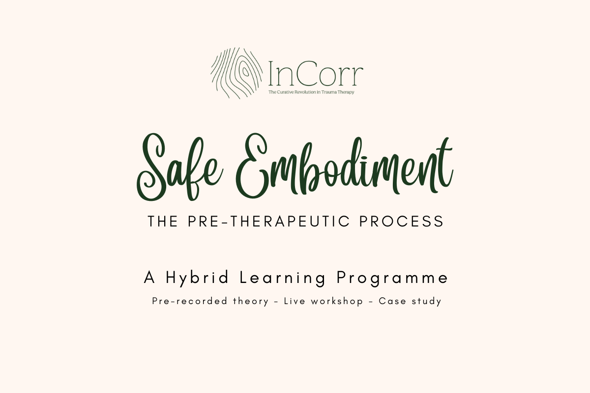 Product image for Safe Embodiment: The Pre Therapeutic Process - June'26
