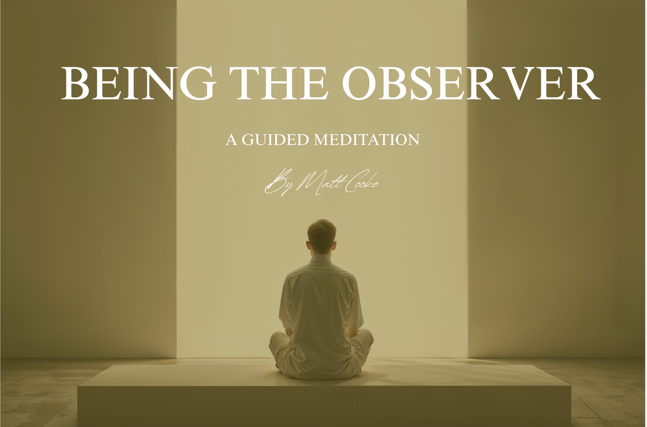 Product image for Being The Observer