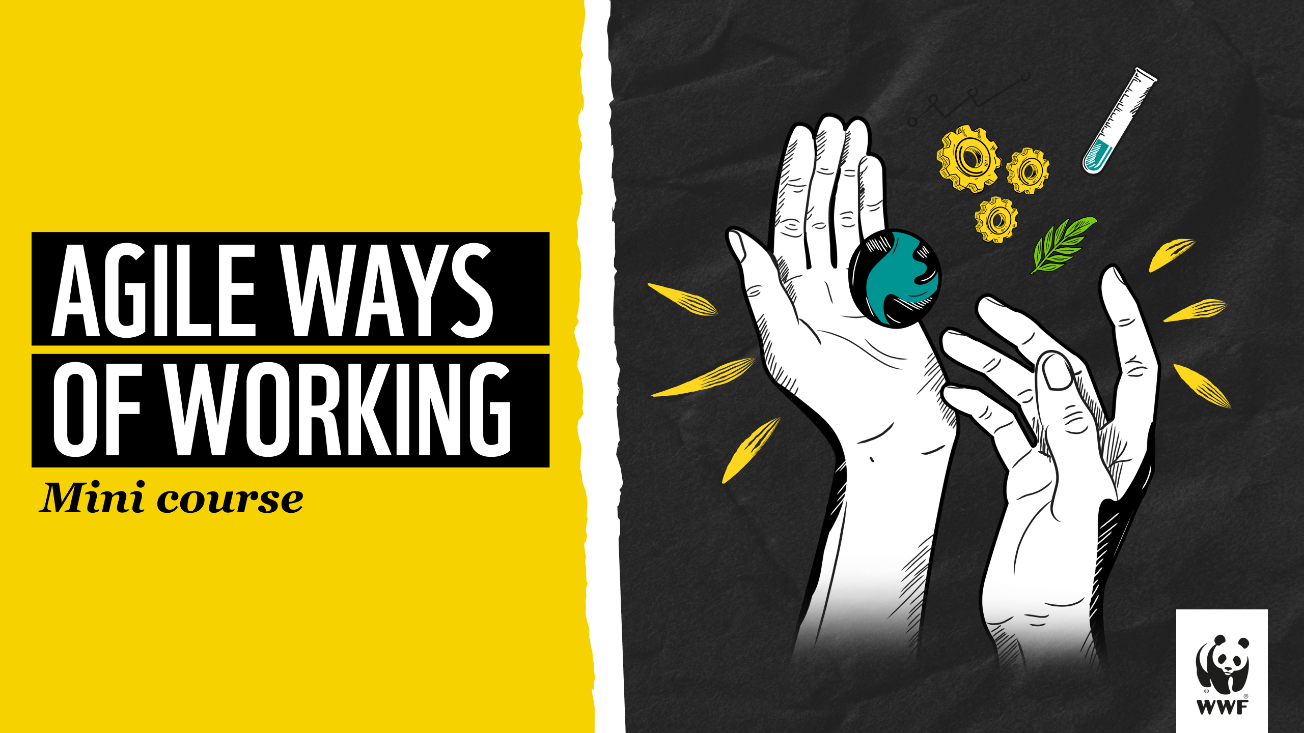 Product image for MINI-COURSE: Agile ways of working