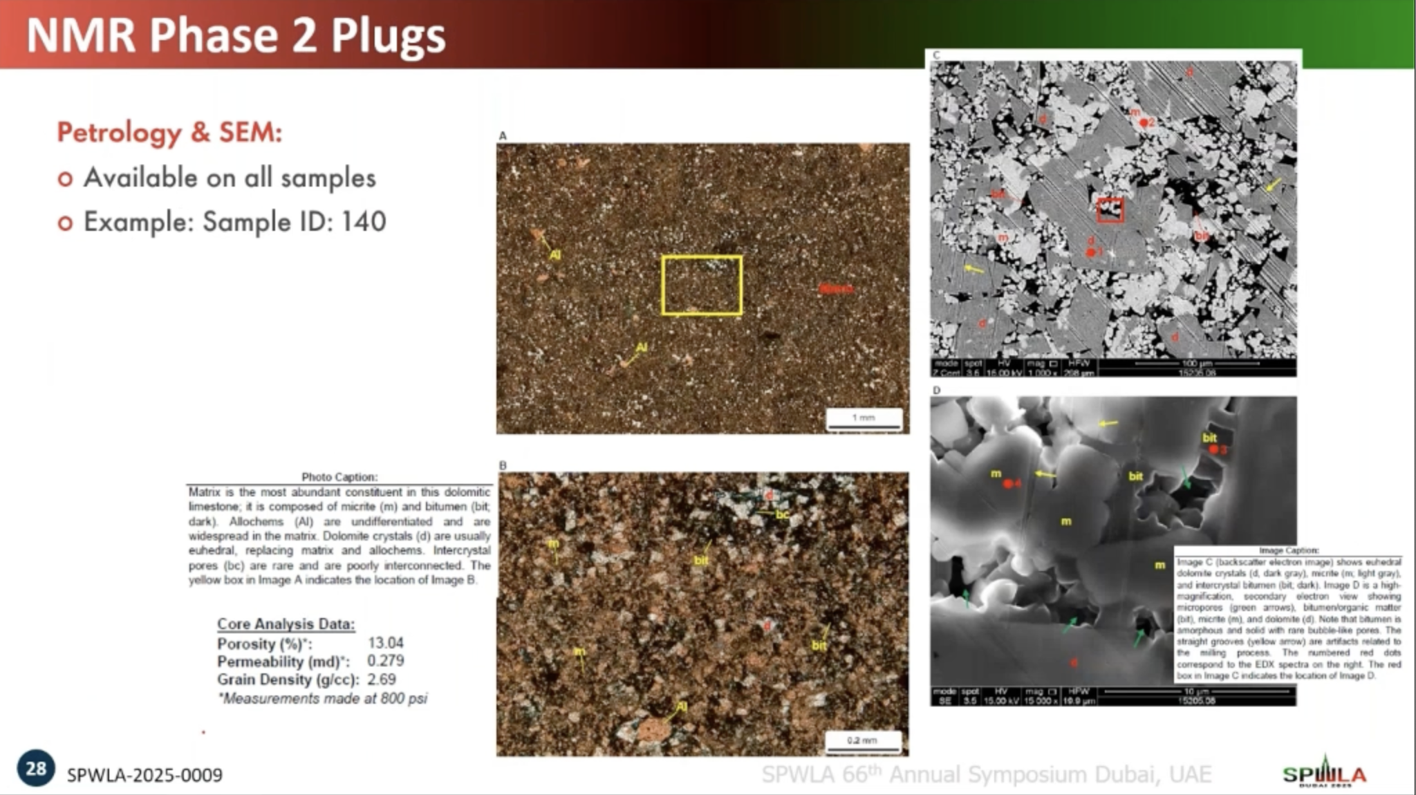 Product image for Petrophysical Characterization of Secondary Organic Matter and Hydrocarbons in the Early Jurassic Marrat Formation Using Laboratory NMR Techniques