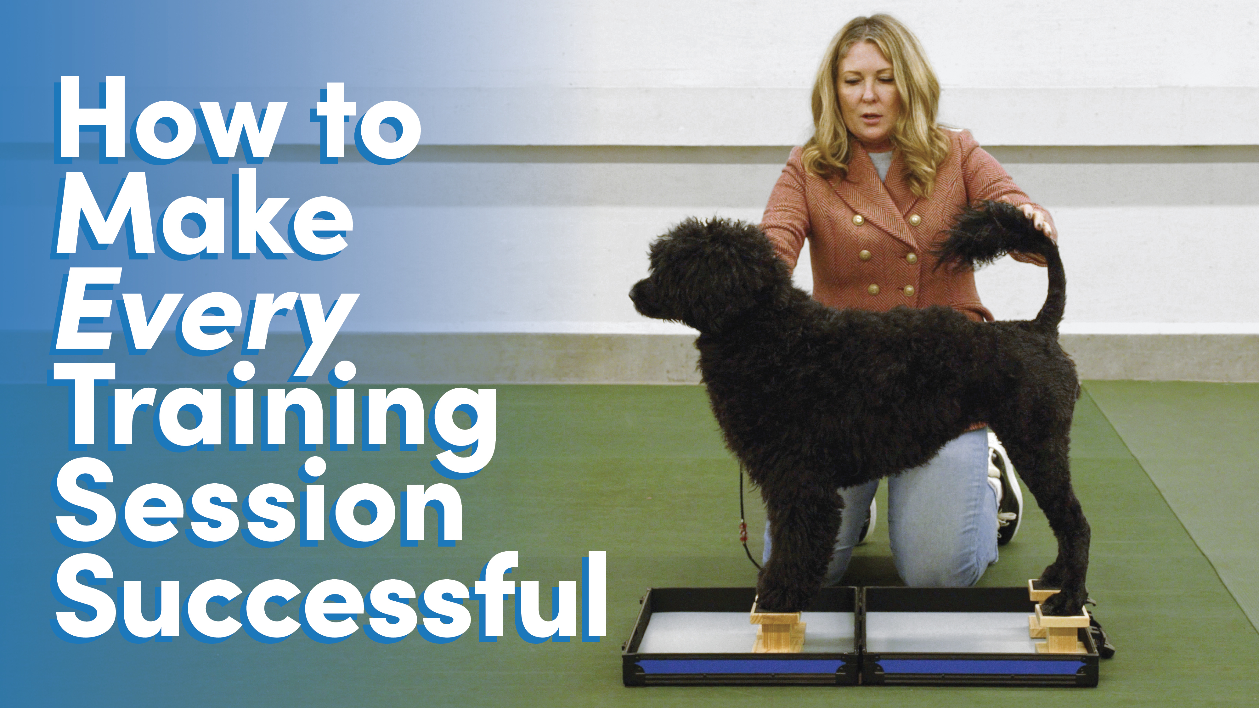 Product image for How To Make Every Training Session Successful