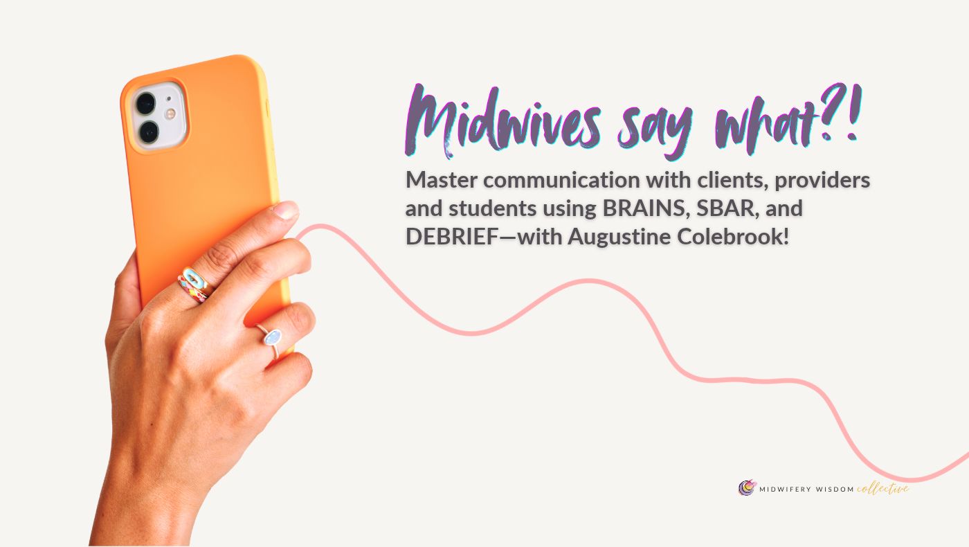 Product image for Midwives Say What?