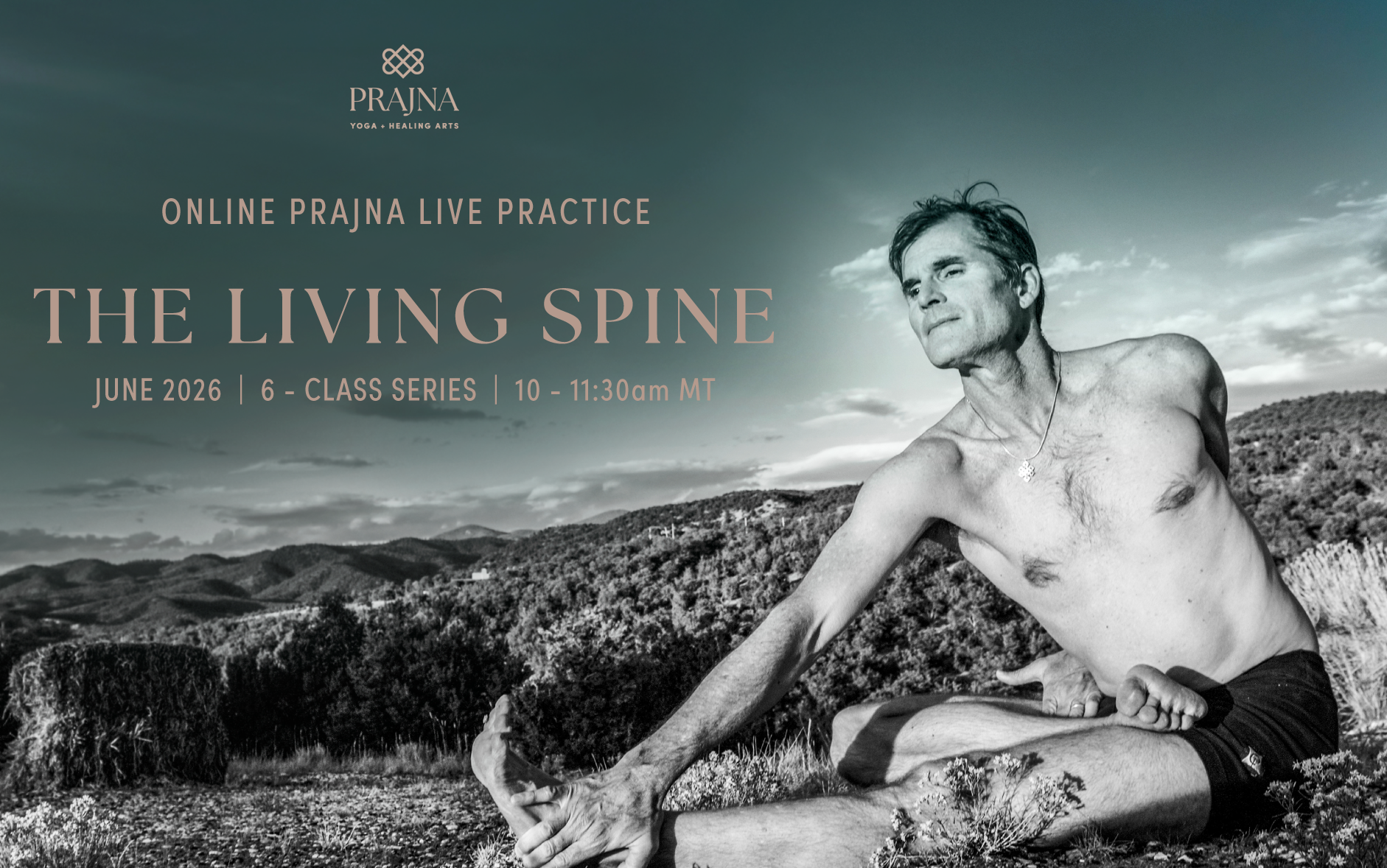 Product image for The Living Spine | June 6-Class Online Series