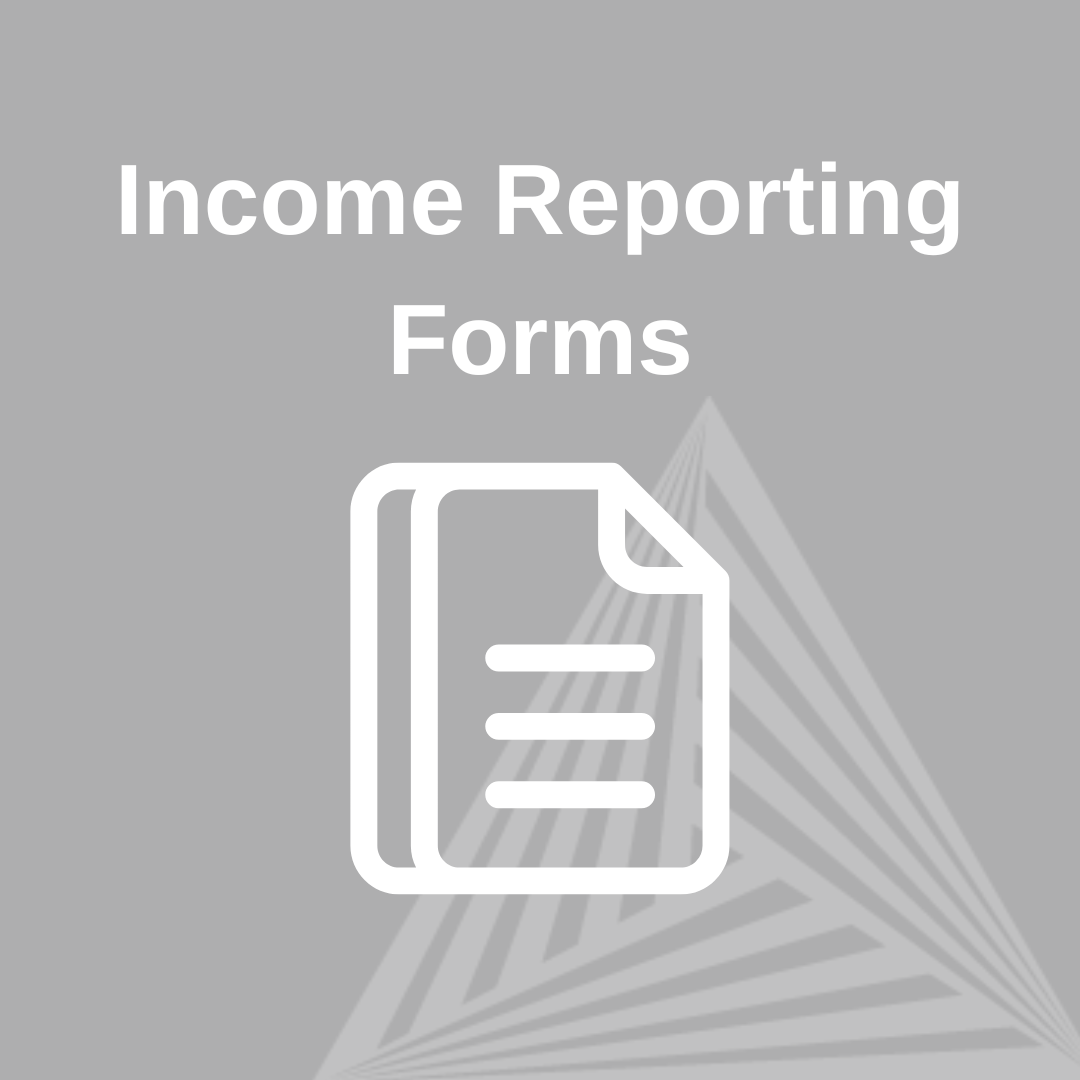 Product image for 2026 Income Reporting Forms 
