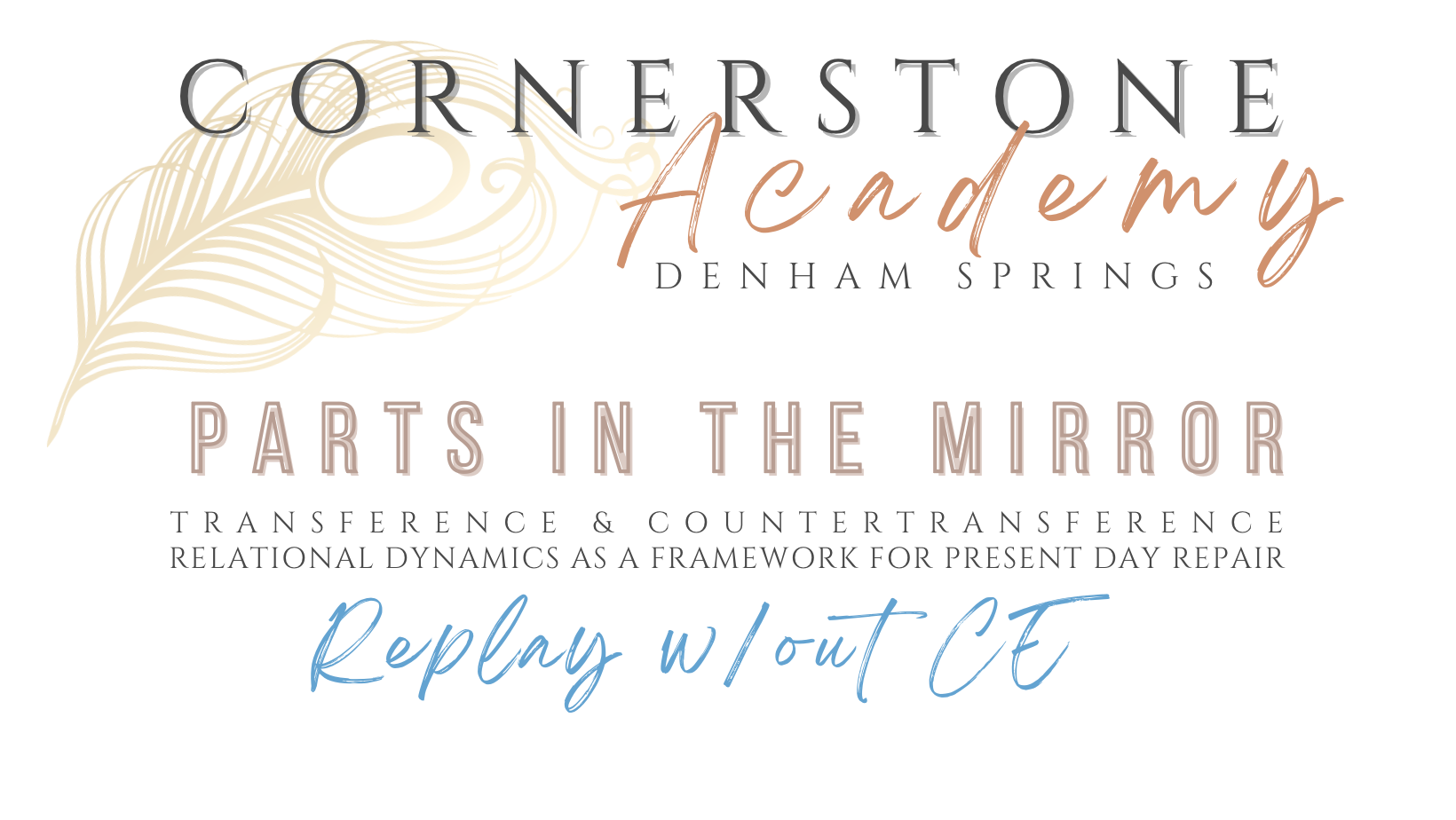 Product image for REPLAY Parts in the Mirror: Transference & Countertransference