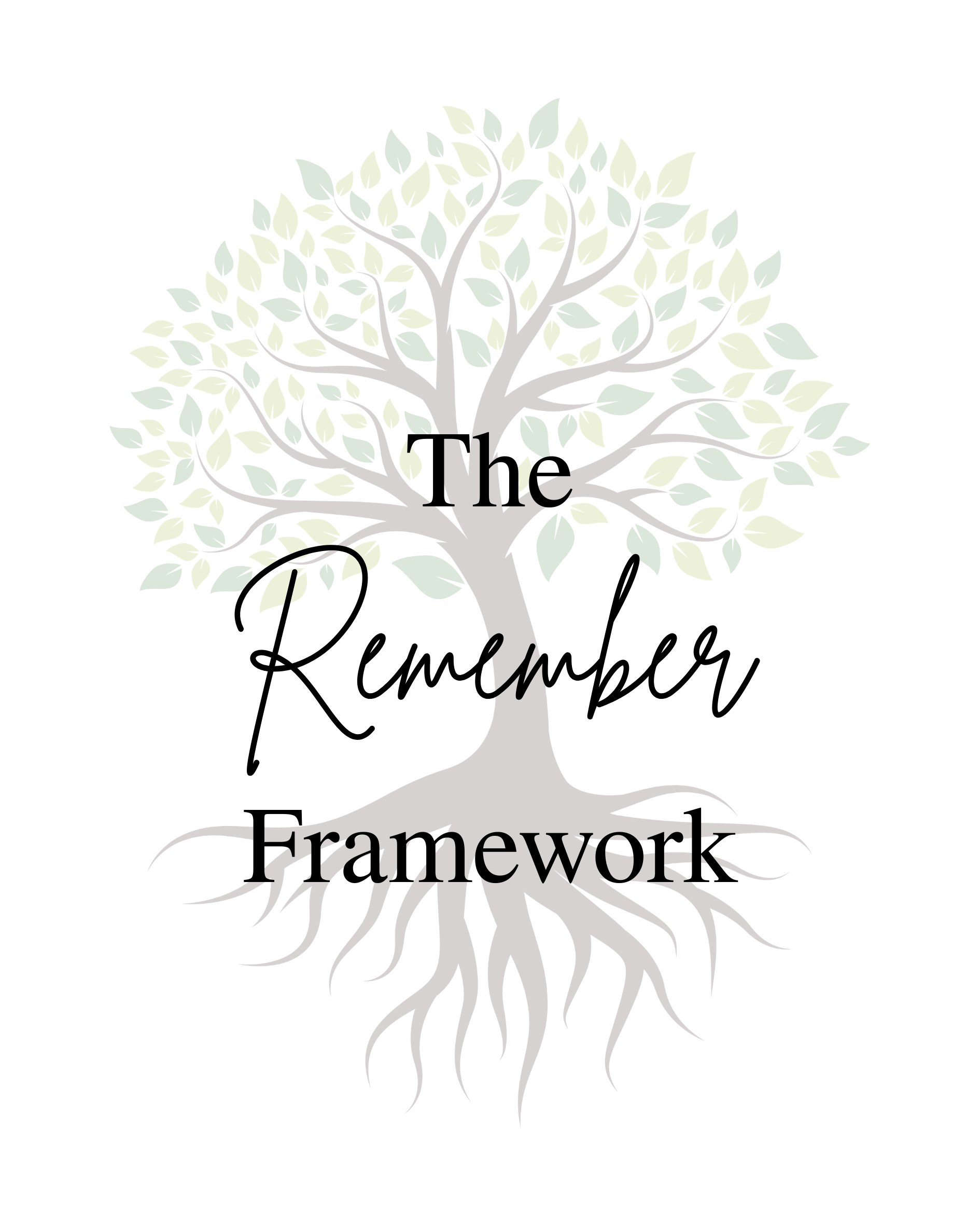 Product image for The Remember Framework