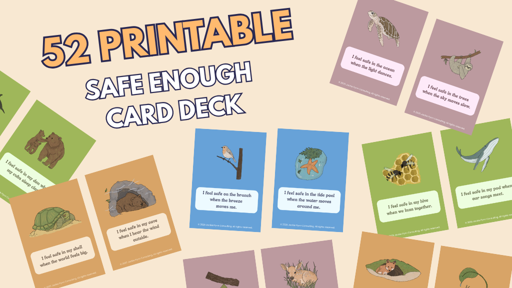 Product image for Safe Enough Card Deck