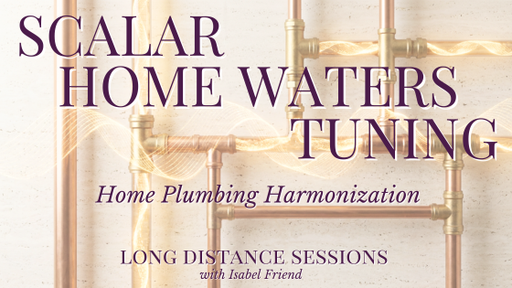 Product image for Home Plumbing Harmonization