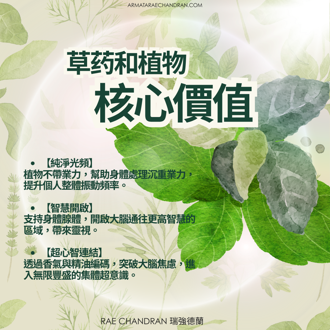 Herb, Healing, Star Consciousness, 星際意識, DNA, ARMATA Rae Chandran, Rae, 阿爾瑪他, 瑞, 強德蘭新年,傳訊,,課程, New Year Eve, Channeling, surrender, 臣服, Rae Chandran, 瑞強德蘭