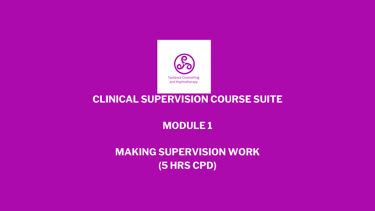 Product image for Making Supervision Work: A Guide for Student & Newly Qualified Counsellors
