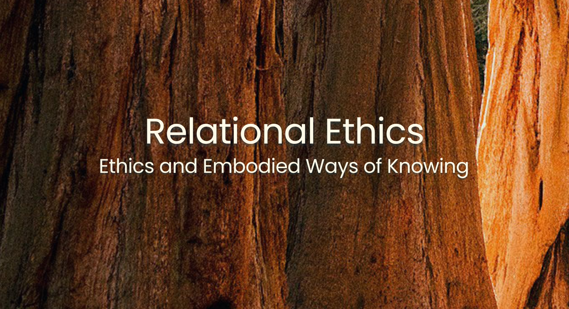 Product image for Ethics and Embodied Ways of Knowing: Relational Ethics Intensive January 2027