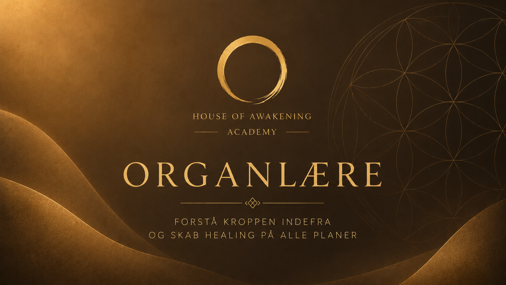 Product image for Organlære 