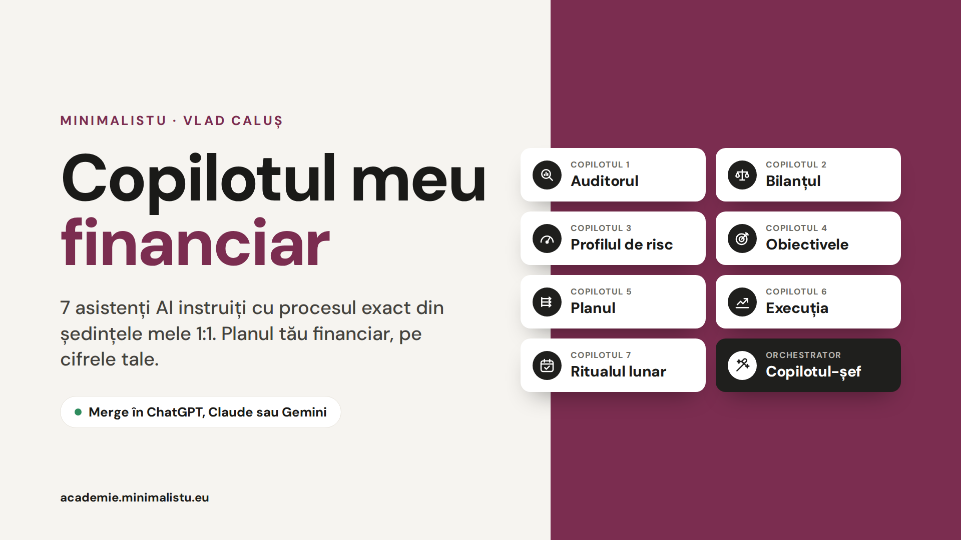Product image for Copilotul Meu Financiar