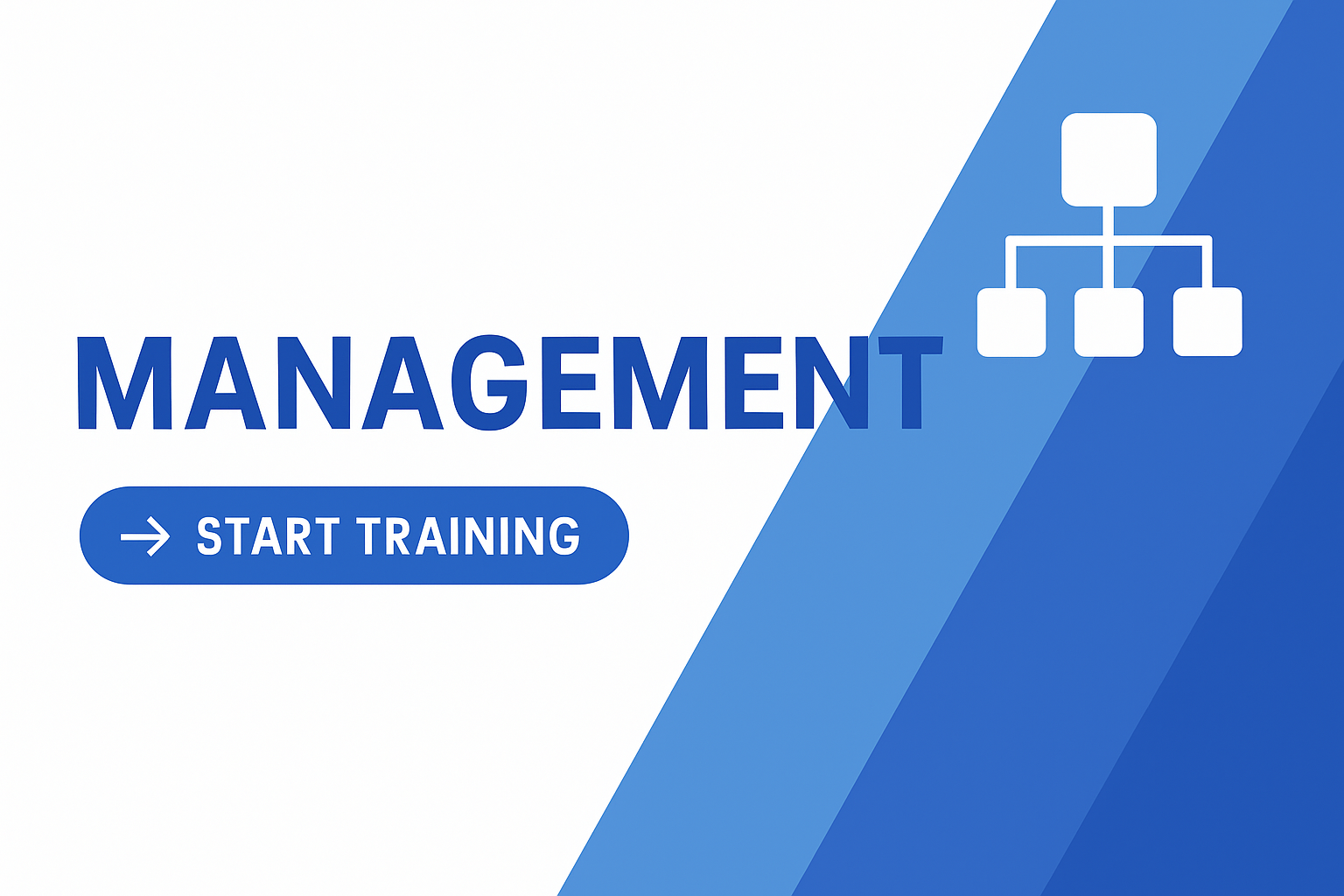 Product image for Management