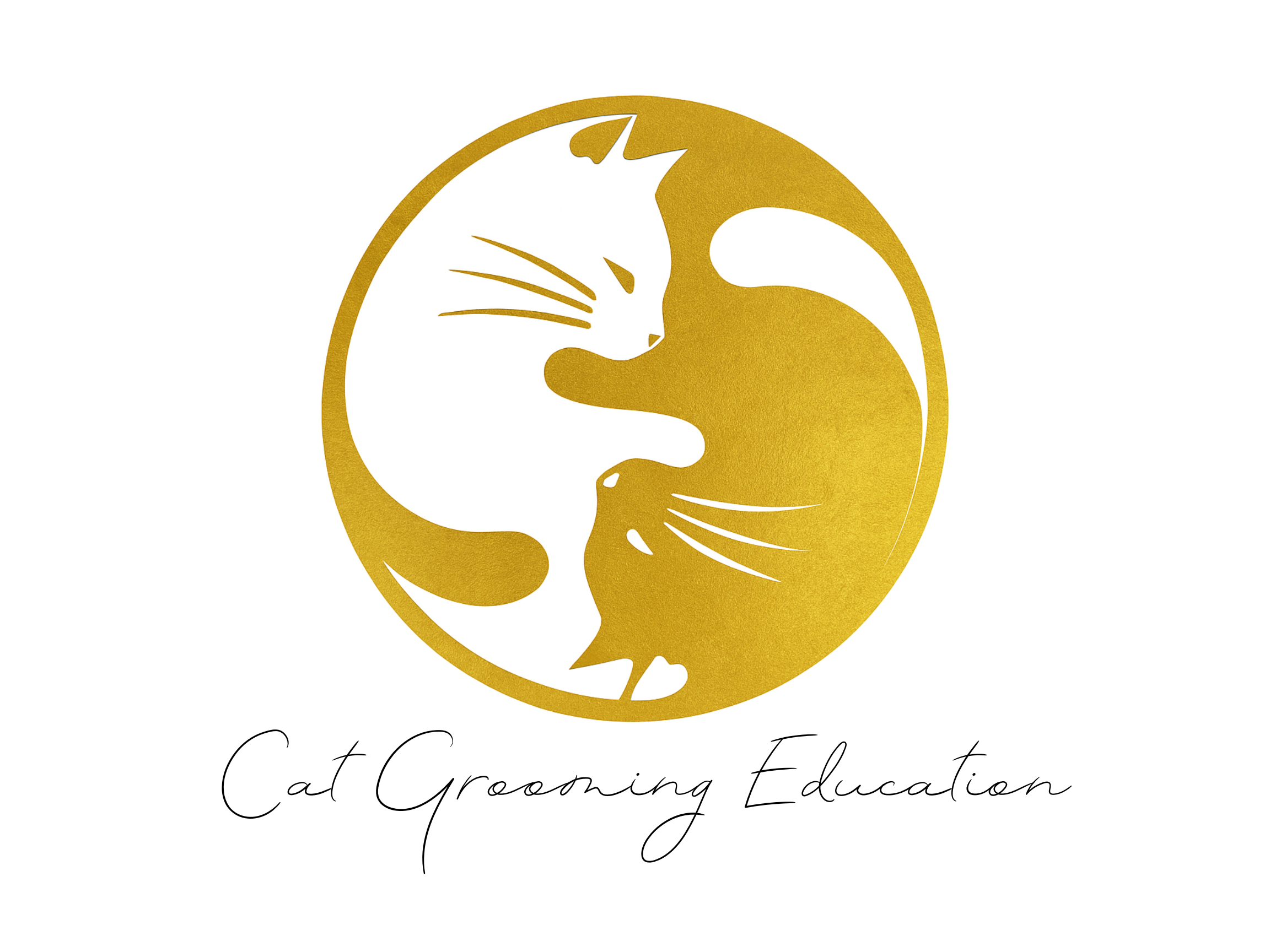 Cat Grooming Education | Australian Certified Cat Groomer Training | C