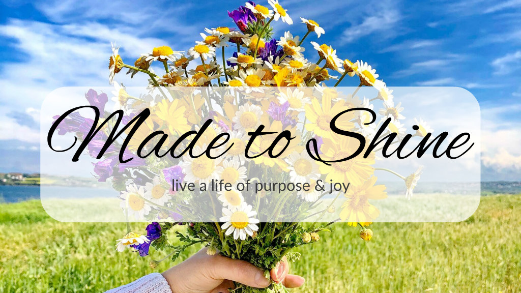 Product image for Made to Shine!