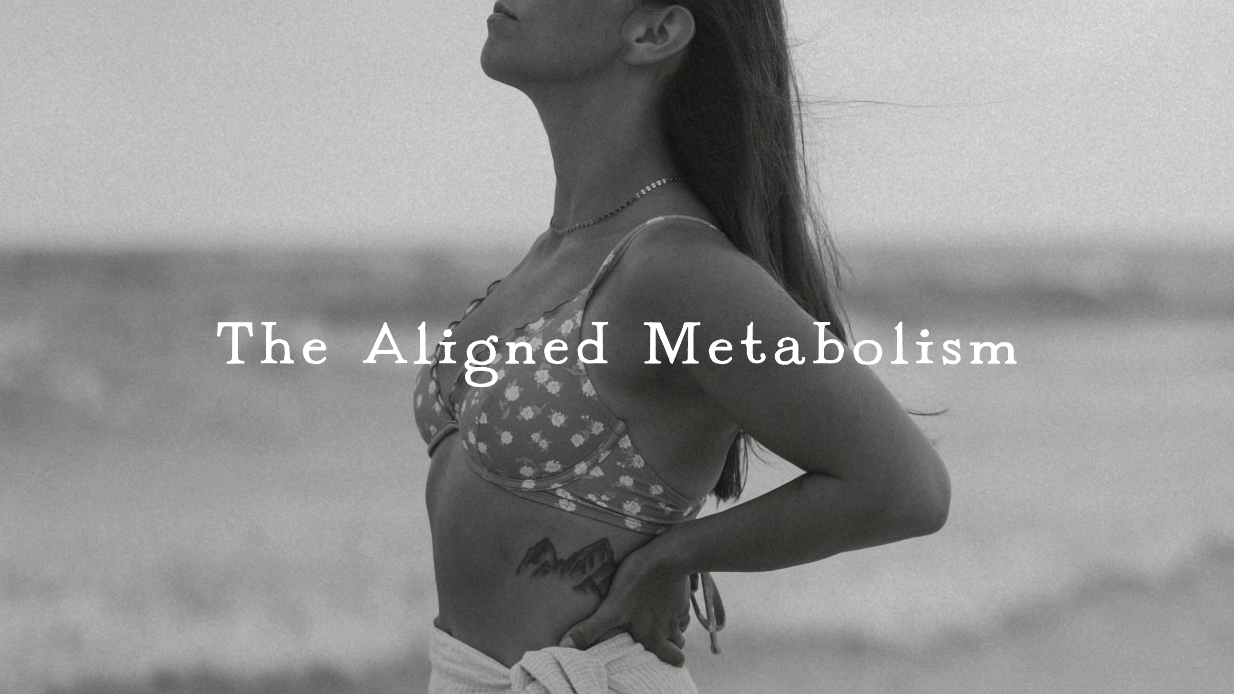 Product image for The Aligned Metabolism