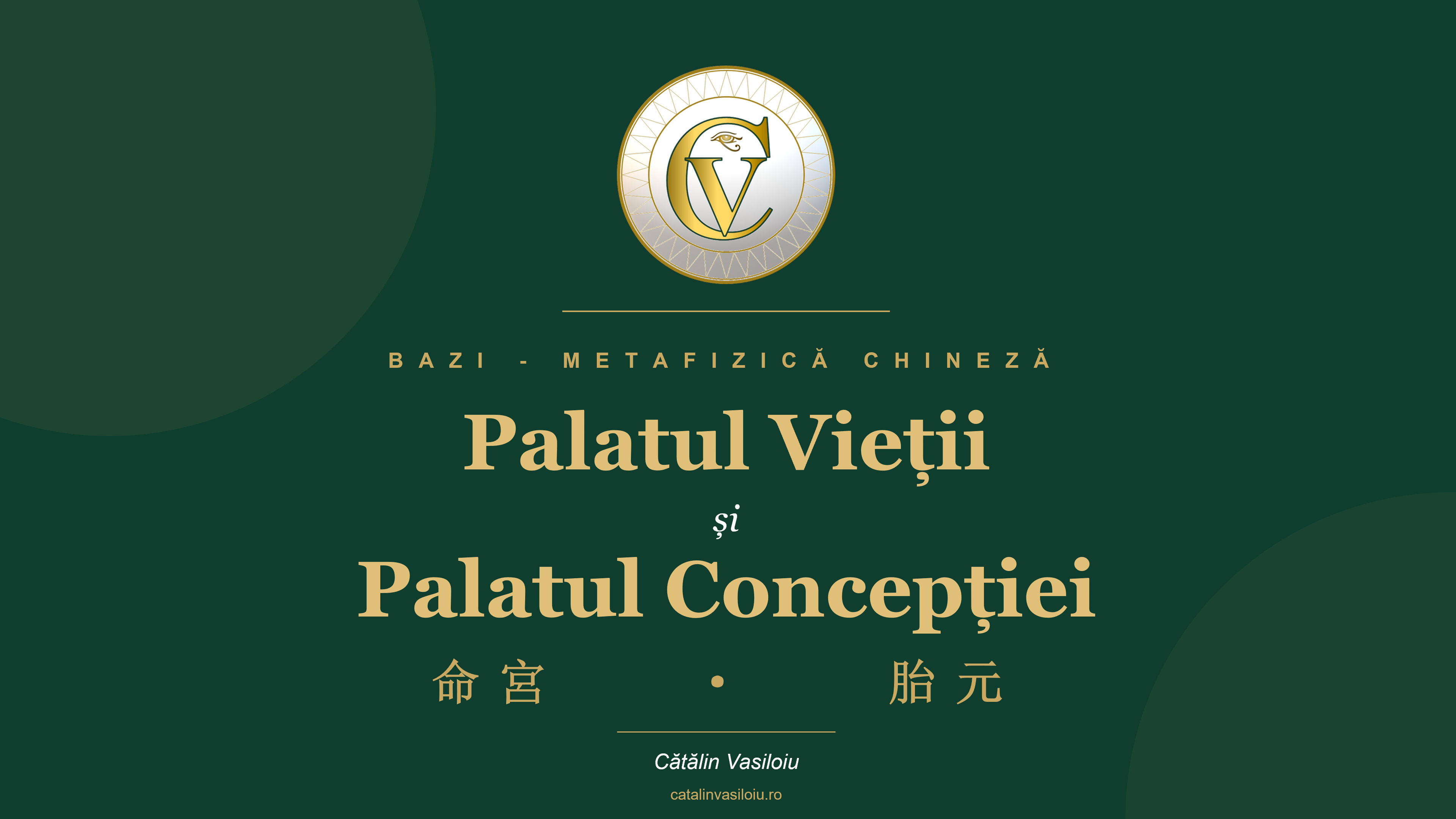 Product image for Pilonul de Concepție și Palatul Vieții în BaZi
