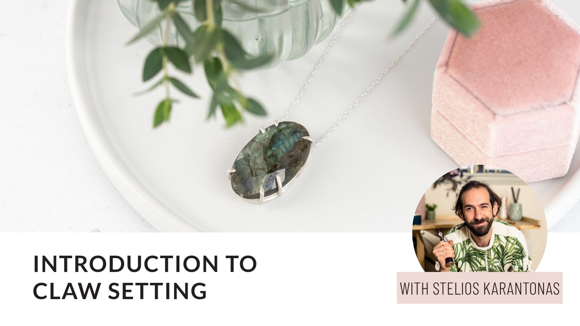 Product image for Introduction to Claw Setting