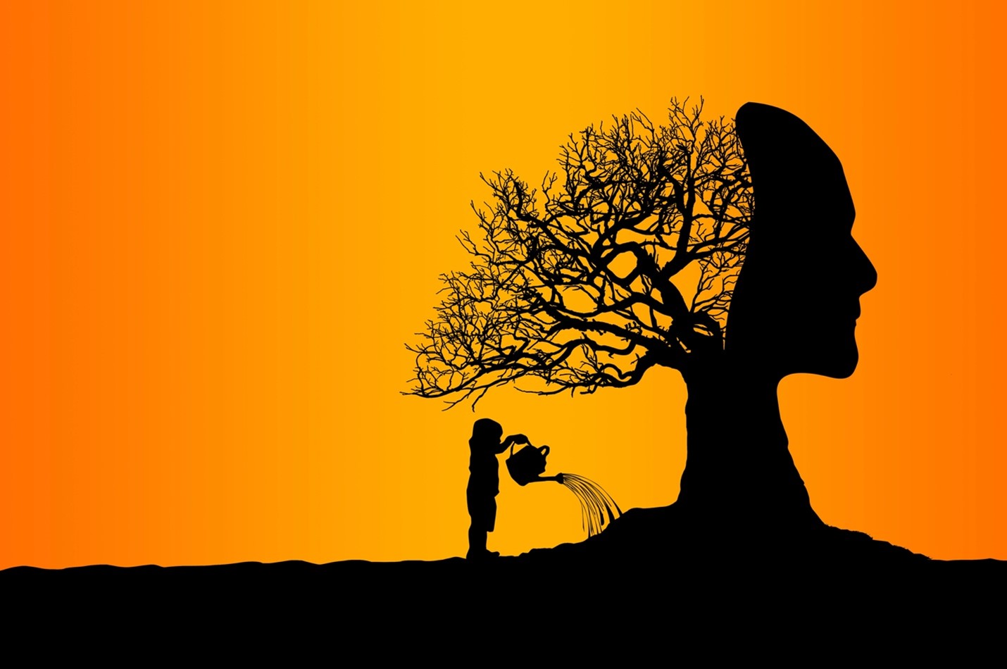 Product image for The Psychology of Belief in Clinical Change (Live)