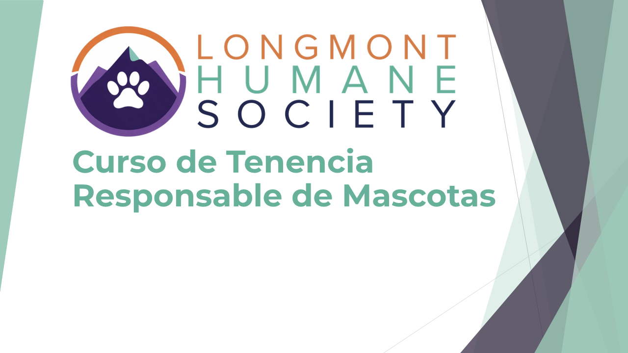 Product image for Tenencia responsable de mascotas