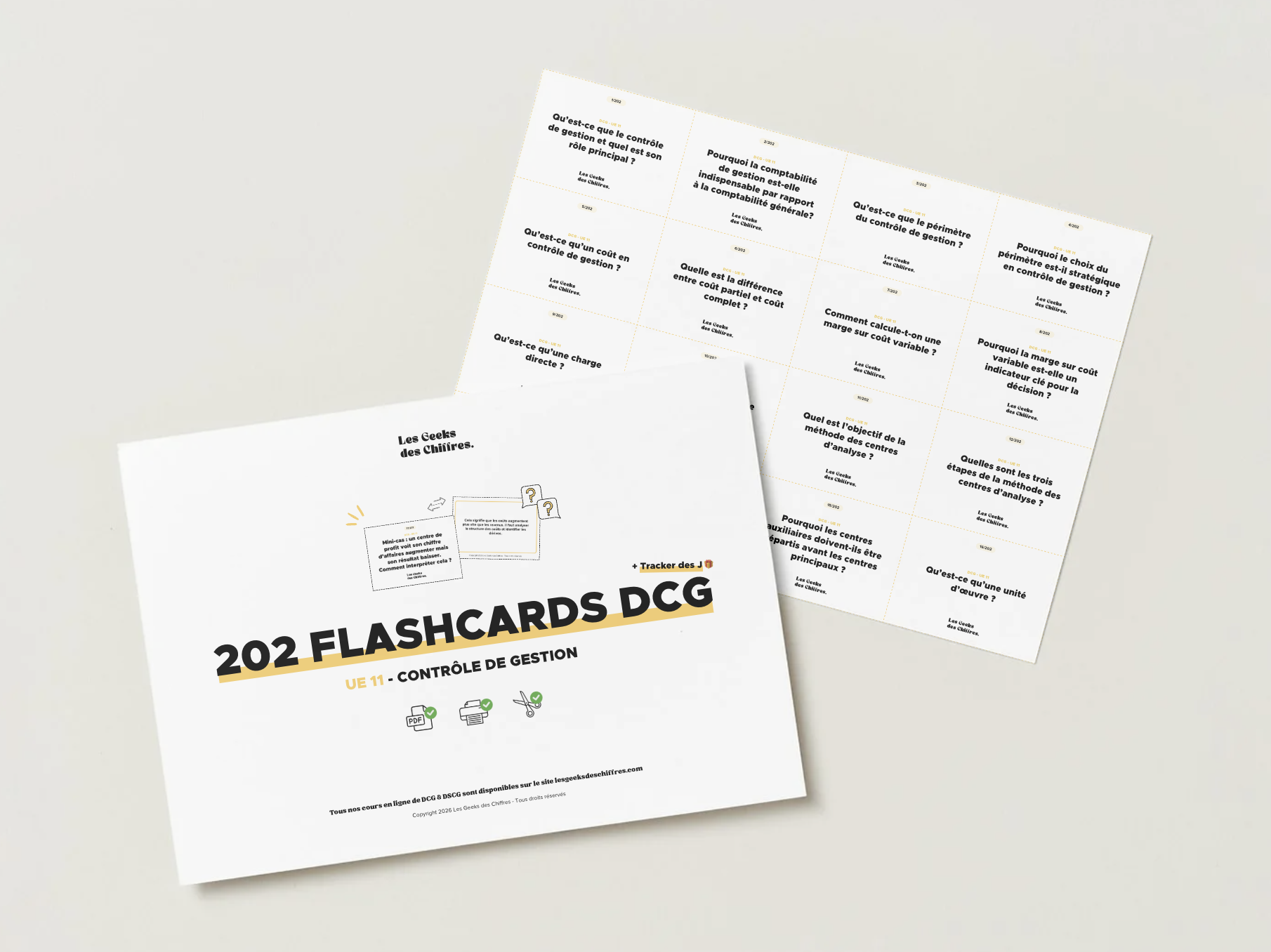 Image du produit pour 202 Flashcards DCG : UE 11 Contrôle de gestion
