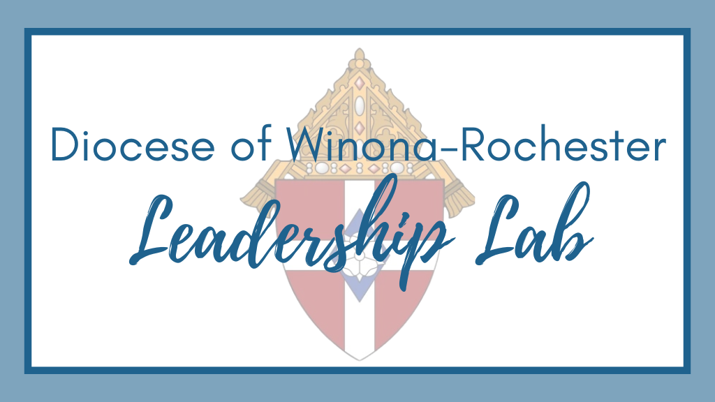 Product image for Winona-Rochester Leadership Lab