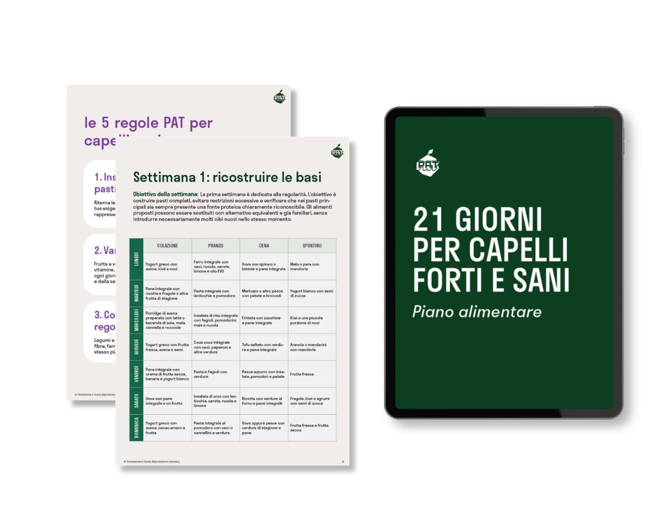 Contenuti del corso