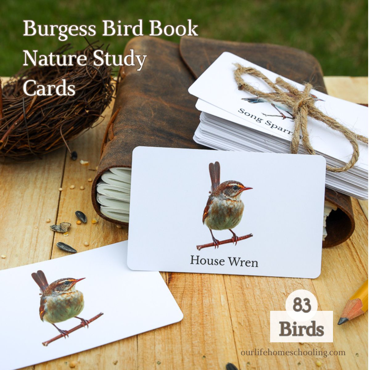 Product image for Burgess Bird Book Nature Study Cards