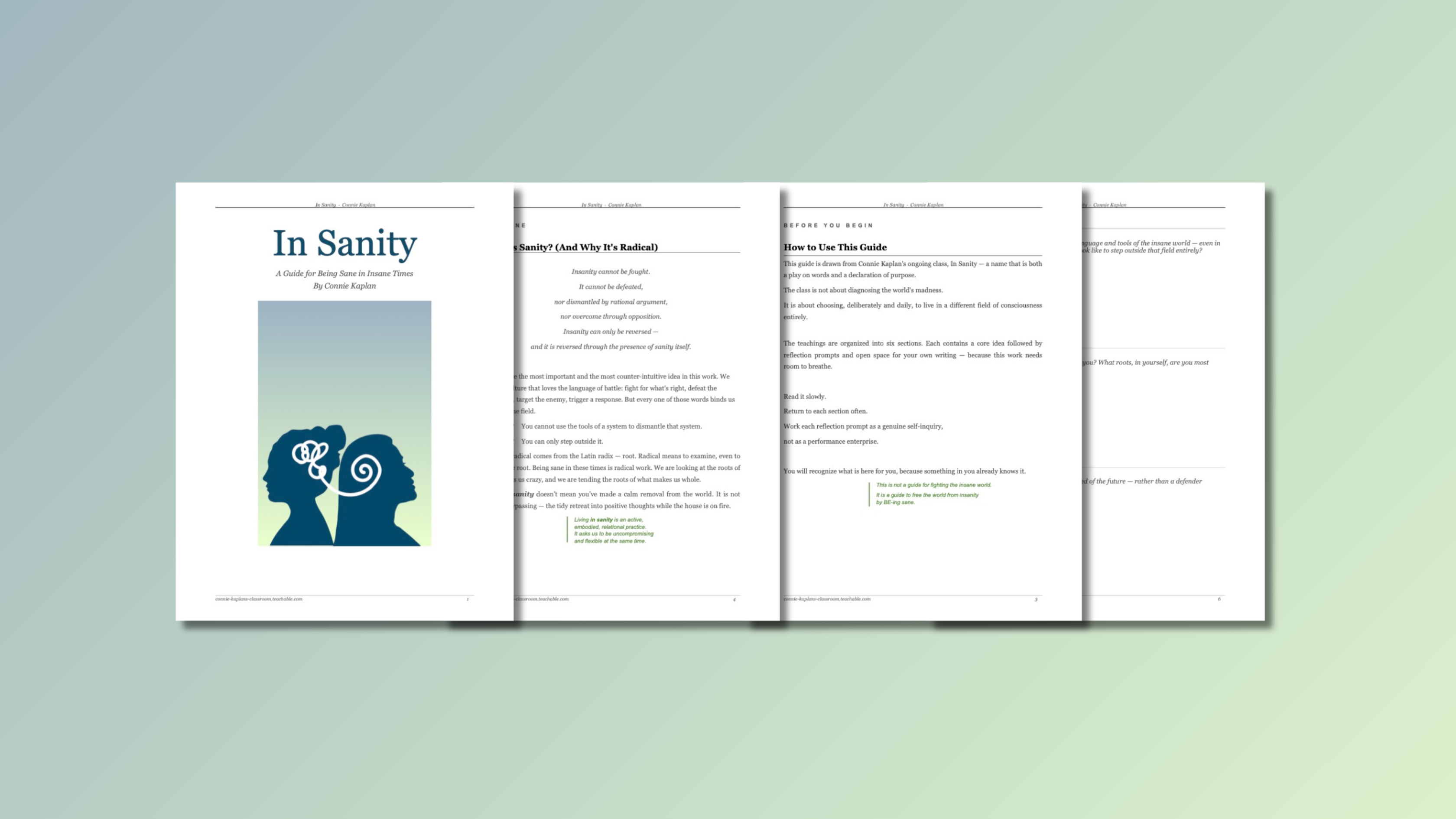 Product image for In Sanity