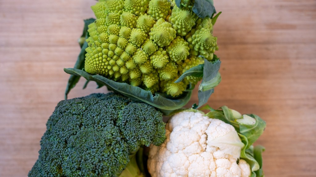 Product image for CHE CAVOLI CUCINO? Cavolfiori, broccoli, romanesco