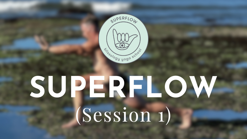 Product image for Superflow (Session 1)