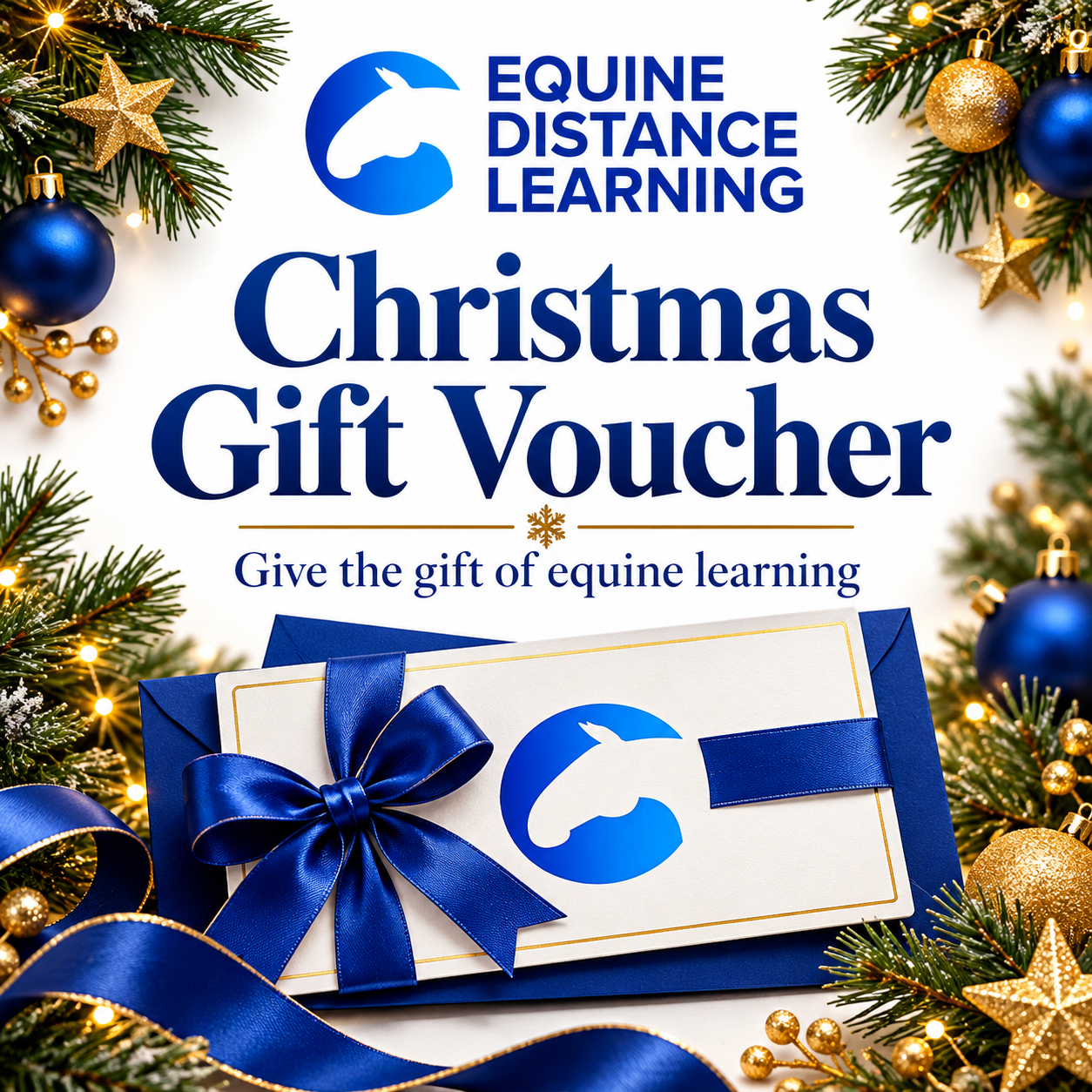 Product image for Christmas Gift Voucher