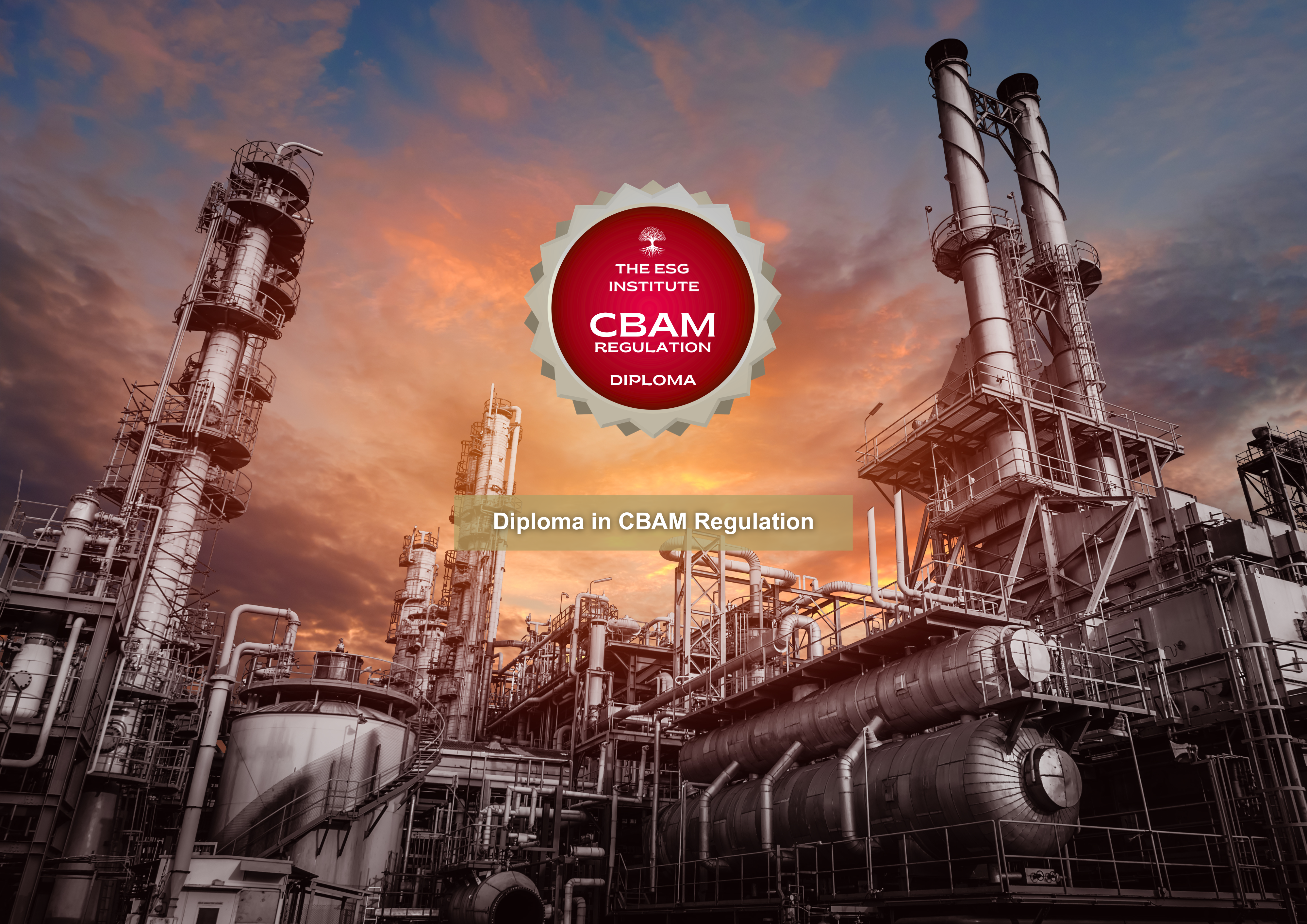 Diploma in CBAM Regulation