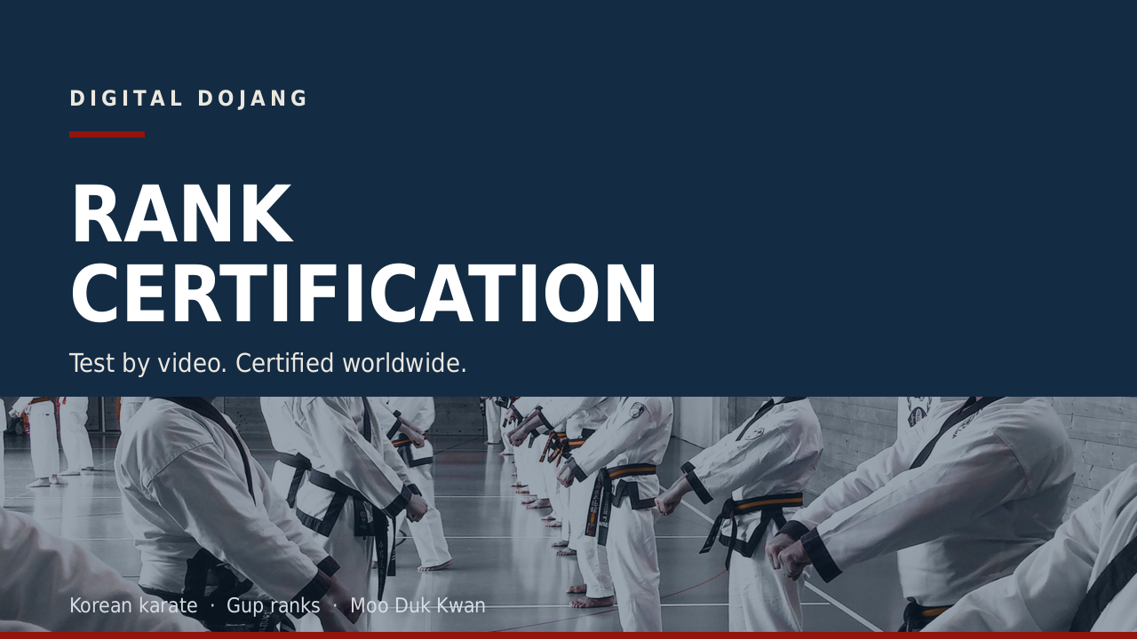 Product image for Online Martial Arts Belt Rank Certification