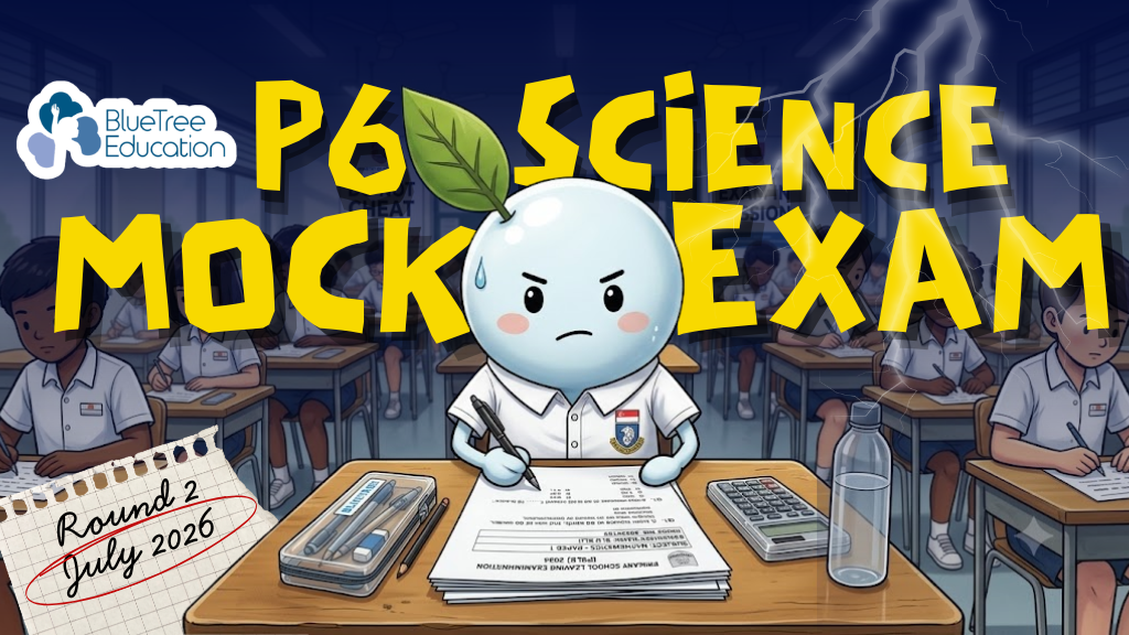 Product image for Mock Exam 2026 - Round 2 : Science